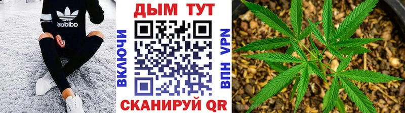 Канабис Ganja  купить наркоту  Оханск 